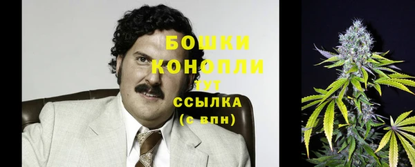 PSILOCYBIN Армянск
