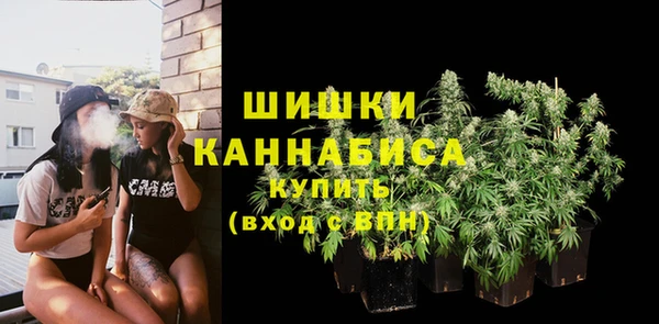 PSILOCYBIN Армянск