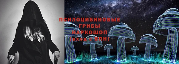 прущие грибы Пересвет