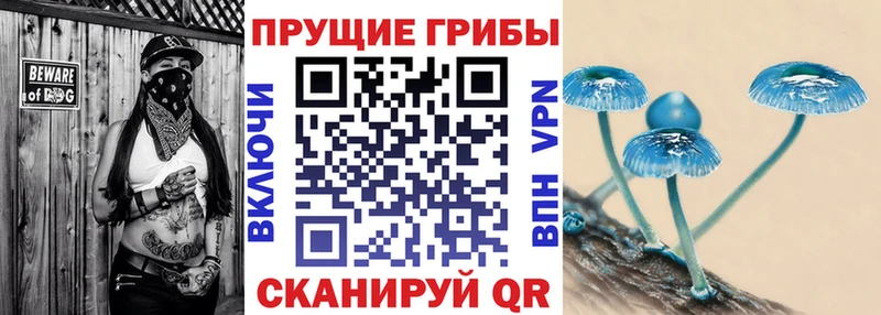 Псилоцибиновые грибы Cubensis  Павловский Посад 
